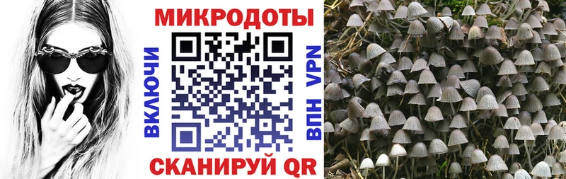 Псилоцибиновые грибы ЛСД  Купить где  Темрюк 